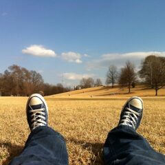 Tumblr image: Relaxing in a field