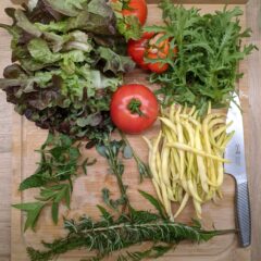 tim-oun-uFzRkgUc16w-unsplash